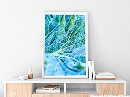 Best for home Artprints - Kunstbild - Gemüseblatt mit Frost- Fotodruck in gestochen scharfer Qualität