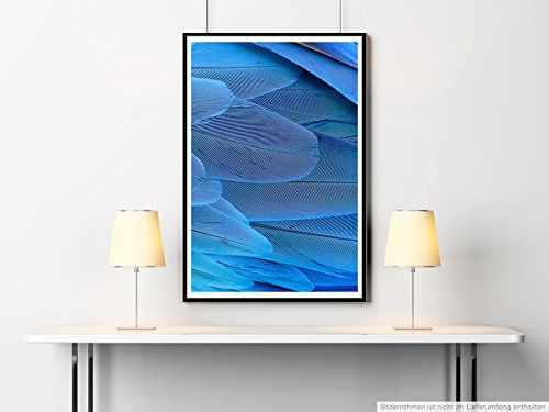 Best for home Artprints - Künstlerische Fotografie - Blaue Arafedern- Fotodruck in gestochen scharfer Qualität