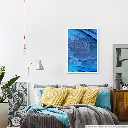 Best for home Artprints - Künstlerische Fotografie - Blaue Arafedern- Fotodruck in gestochen scharfer Qualität