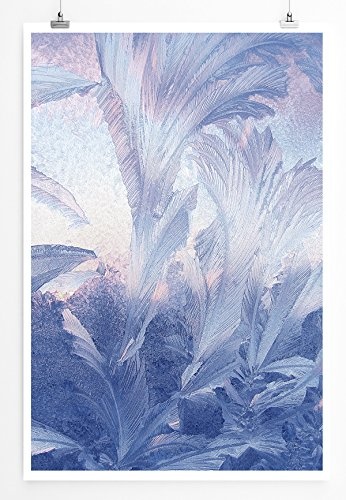 Best for home Artprints - Bild - Wunderschöne Eismuster- Fotodruck in gestochen scharfer Qualität