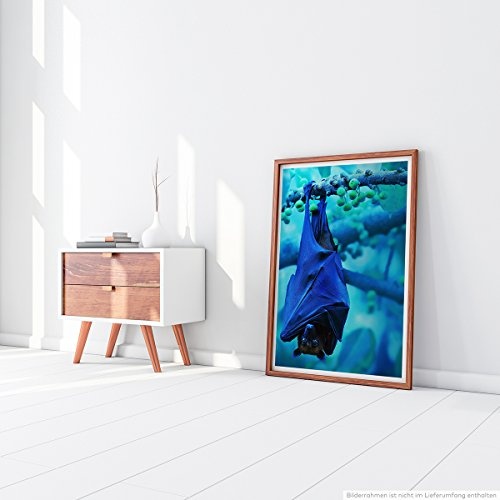 Best for home Artprints - Tierfotografie - Herunterhängende Fledermaus- Fotodruck in gestochen scharfer Qualität