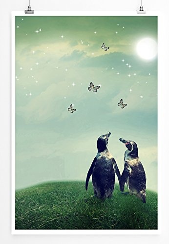 Best for home Artprints - Künstlerische Fotografie - Zwei Pinguine im Sonnenschein- Fotodruck in gestochen scharfer Qualität