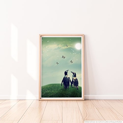 Best for home Artprints - Künstlerische Fotografie - Zwei Pinguine im Sonnenschein- Fotodruck in gestochen scharfer Qualität