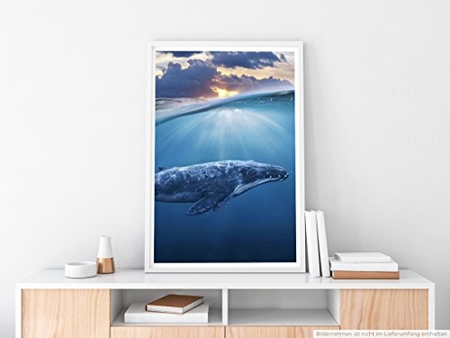 Best for home Artprints - Bild - Unterwasser Blauwal- Fotodruck in gestochen scharfer Qualität
