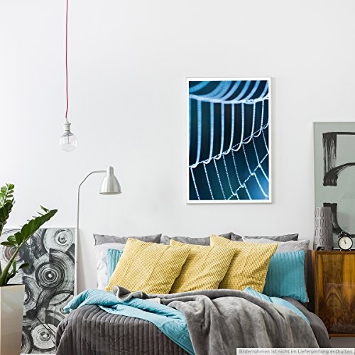 Best for home Artprints - Kunstbild - Spinnweben mit Morgentau- Fotodruck in gestochen scharfer Qualität