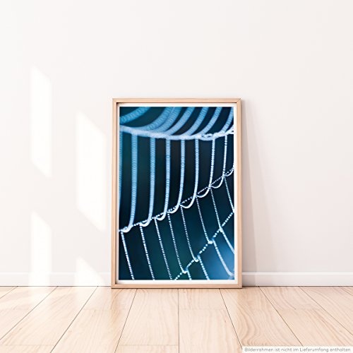 Best for home Artprints - Kunstbild - Spinnweben mit Morgentau- Fotodruck in gestochen scharfer Qualität