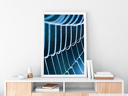 Best for home Artprints - Kunstbild - Spinnweben mit Morgentau- Fotodruck in gestochen scharfer Qualität