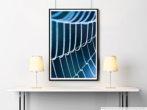 Best for home Artprints - Kunstbild - Spinnweben mit Morgentau- Fotodruck in gestochen scharfer Qualität