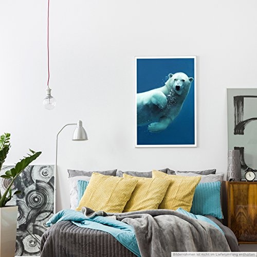 Best for home Artprints - Tierfotografie - Schwimmender Polarbär- Fotodruck in gestochen scharfer Qualität