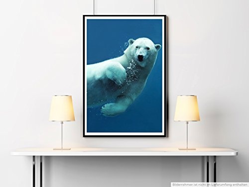 Best for home Artprints - Tierfotografie - Schwimmender Polarbär- Fotodruck in gestochen scharfer Qualität