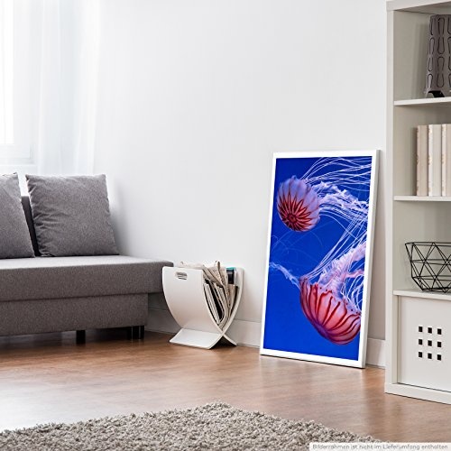 Best for home Artprints - Tierfotografie - Rot gestreifte Quallen im Meer- Fotodruck in gestochen scharfer Qualität