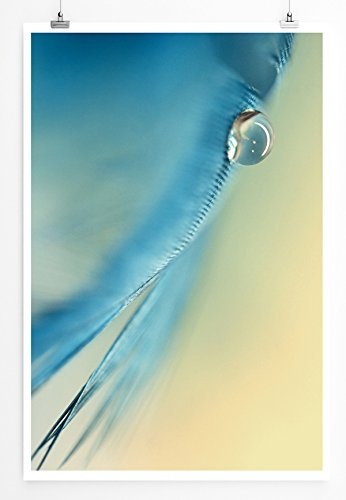 Best for home Artprints - Kunstbild - Blaue Blütenblätter mit Tautropfen- Fotodruck in gestochen scharfer Qualität