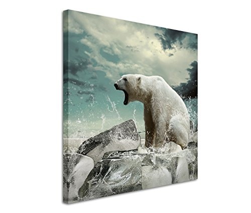 Modernes Bild 90x90cm Tierfotografie - Brüllender Eisbär