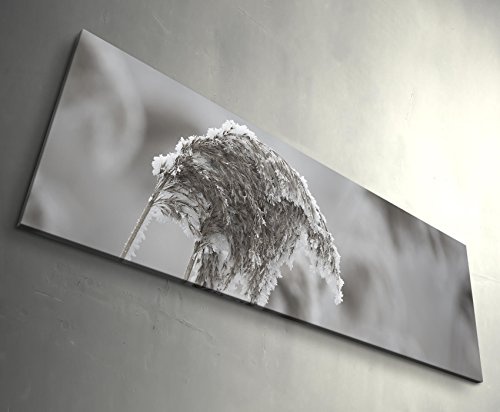 Panoramabild auf Leinwand in 150x50cm Frost auf Grashalm