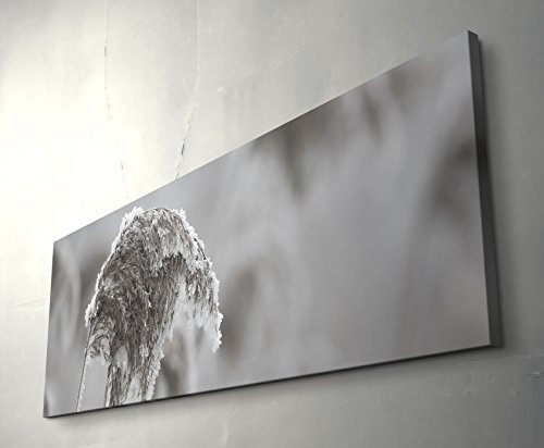 Panoramabild auf Leinwand in 150x50cm Frost auf Grashalm