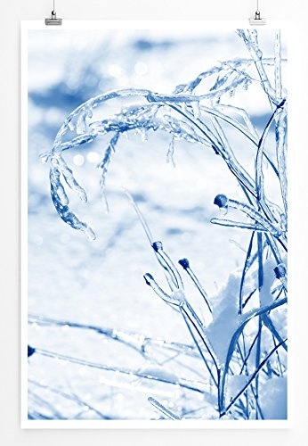 Best for home Artprints - Kunstbild - Gefrorene Zweige im Schnee- Fotodruck in gestochen scharfer Qualität