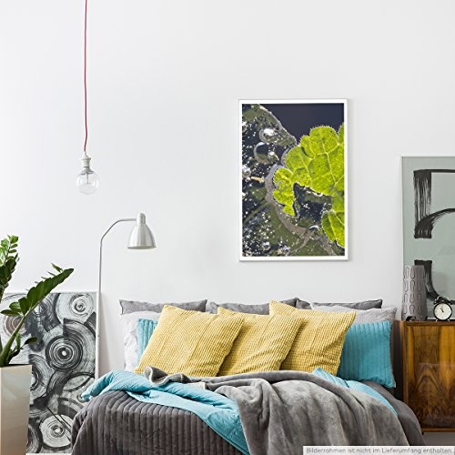 Best for home Artprints - Kunstbild - Grünes Blatt im Eis- Fotodruck in gestochen scharfer Qualität