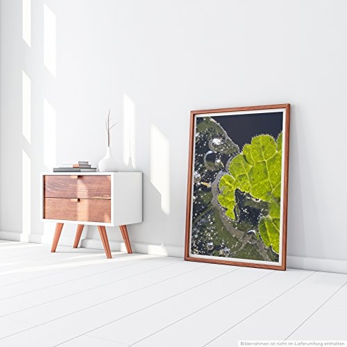 Best for home Artprints - Kunstbild - Grünes Blatt im Eis- Fotodruck in gestochen scharfer Qualität