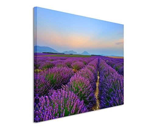 Modernes Bild 120x80cm Landschaftsfotografie - Lavendelfelder in Valensole Frankreich