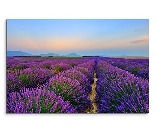Modernes Bild 120x80cm Landschaftsfotografie - Lavendelfelder in Valensole Frankreich