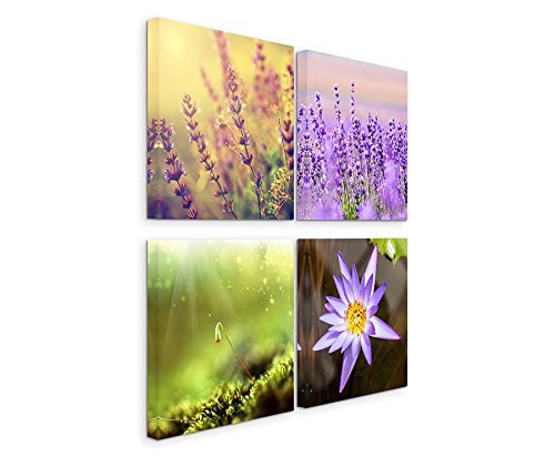 4 Bilder je 30x30cm Leinwandbilder Wasserfest Leinwanddruck Lavendel Blumen Makroaufnahme