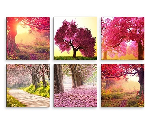 6 teilige moderne Bilderserie je 20x20cm - Kirschbäume Spaziergang Herbst
