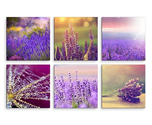 6 teilige moderne Bilderserie je 20x20cm - Lavendel Blumen Spinnennetz Sonne