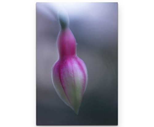 Leinwandbild 90x60cm Fuchsia - rosa Blüte