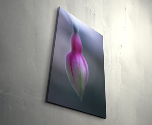 Leinwandbild 90x60cm Fuchsia - rosa Blüte