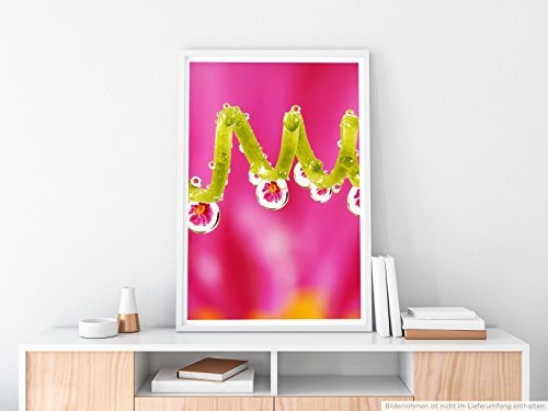 Best for home Artprints - Wandbild - Blüten in Tautropfen- Fotodruck in gestochen scharfer Qualität