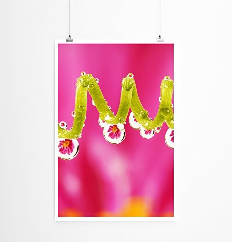 Best for home Artprints - Wandbild - Blüten in Tautropfen- Fotodruck in gestochen scharfer Qualität