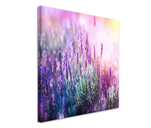 Fotokunst quadratisch 60x60cm Naturfotografie - Echte Lavendel oder Schmalblättrige Lavendel in der Sonne am blühen. Tolle Lila Farben.