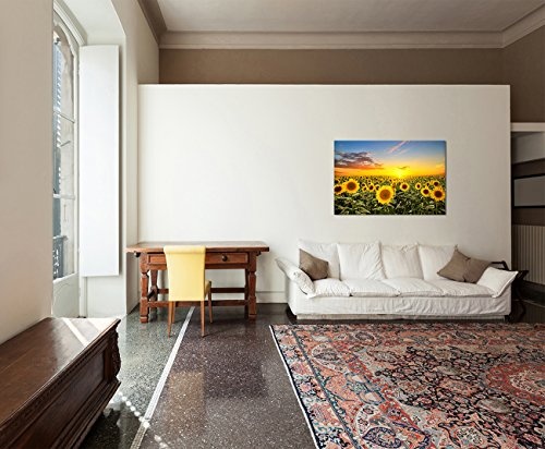 Panoramabild 120x80 cm - Sonnenblumen-Feld Helianthus beim Sonnenuntergang unter blauem Himmel! Tolle Farben! - Bild auf Keilrahmen modern stilvoll - Bilder und Dekoration