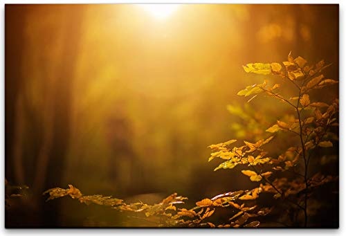 bestforhome 180x120cm Leinwandbild Herbstbild Wald mit Sonne in gelben Farben Leinwand auf Holzrahmen