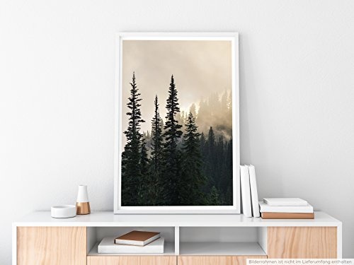 Best for home Artprints - Art - Nebel im Tannenwald- Fotodruck in gestochen scharfer Qualität