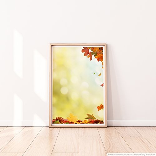 Best for home Artprints - Kunstbild - Herbstblätter in bunten Farben- Fotodruck in gestochen scharfer Qualität