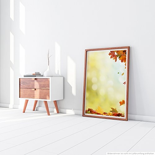 Best for home Artprints - Kunstbild - Herbstblätter in bunten Farben- Fotodruck in gestochen scharfer Qualität