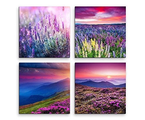4 Bilder je 30x30cm Leinwandbilder Wasserfest Leinwanddruck Lavendel Blumenwiese Sommer Frühlingsgefühle Lila Farben zum verlieben!