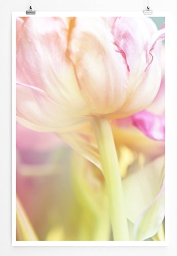 Best for home Artprints - Kunstbild - Rosa Pastell Tulpe - Fotodruck in gestochen scharfer Qualität
