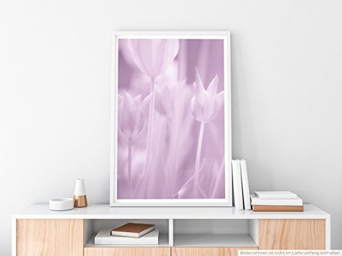 Best for home Artprints - Künstlerische Fotografie - Rosa pastell Tulpen- Fotodruck in gestochen scharfer Qualität