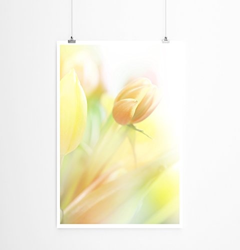 Best for home Artprints - Kunstbild - Orange Pastell Tulpe- Fotodruck in gestochen scharfer Qualität