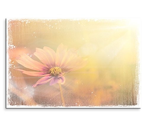 Modernes Bild 120x80cm Künstlerische Fotografie - Pastell Vintage Blume