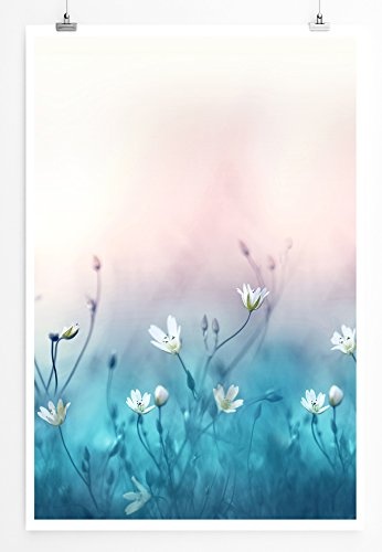 Best for home Artprints - Kunstbild - Wiese mit weißen Blumen- Fotodruck in gestochen scharfer Qualität
