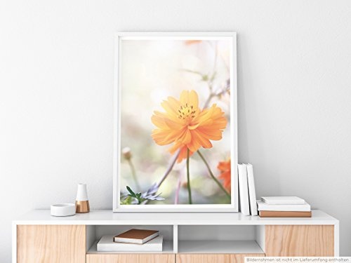 Best for home Artprints - Kunstbild - Orange Frühlingsblumen- Fotodruck in gestochen scharfer Qualität