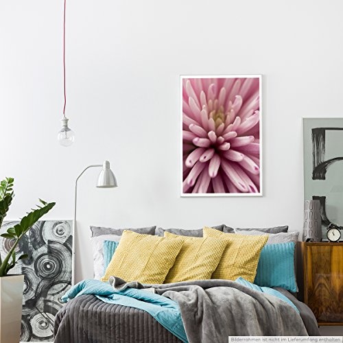Best for home Artprints - Kunstbild - Altrosa Blütenblätter- Fotodruck in gestochen scharfer Qualität