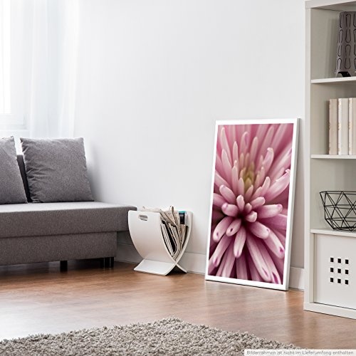 Best for home Artprints - Kunstbild - Altrosa Blütenblätter- Fotodruck in gestochen scharfer Qualität
