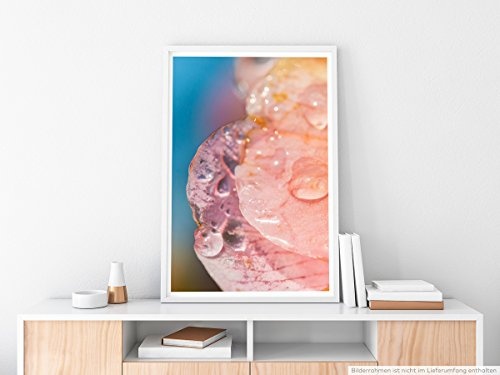 Best for home Artprints - Künstlerische Fotografie - Lachsfarbene Blüte mit Tautropfen- Fotodruck in gestochen scharfer Qualität