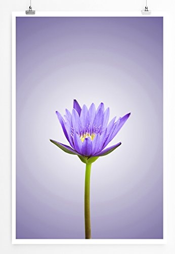 Best for home Artprints - Kunstbild - Halboffene lila Lotusblüte- Fotodruck in gestochen scharfer Qualität