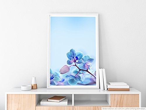 Best for home Artprints - Kunstbild - Pastellblaue Orchideen- Fotodruck in gestochen scharfer Qualität