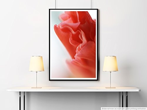 Best for home Artprints - Kunstbild - Rote Gladiole- Fotodruck in gestochen scharfer Qualität